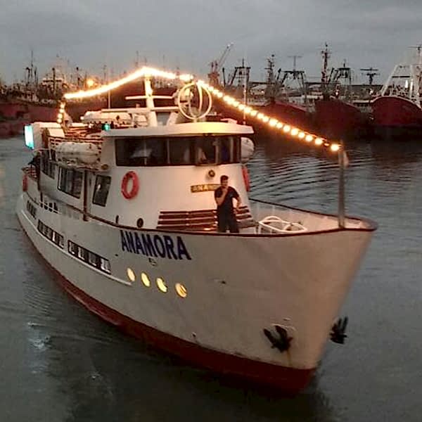 Crucero anamora