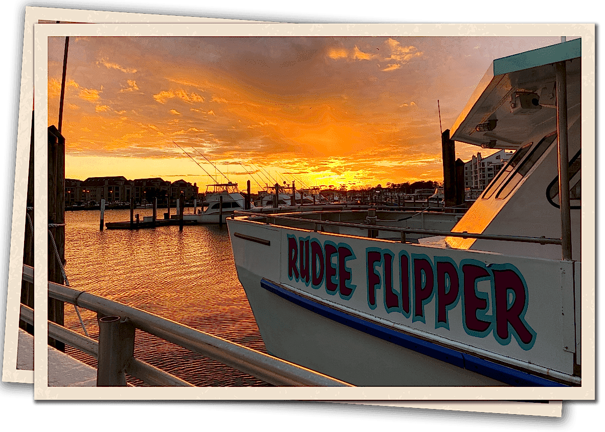 a sunset over a body of water