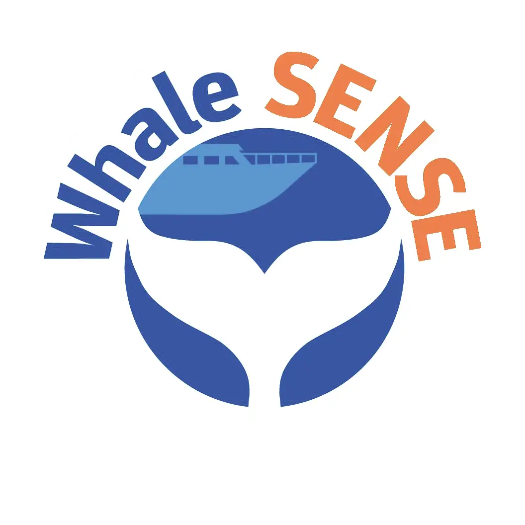 Whale Sense