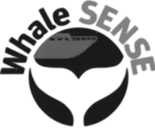 whale sense