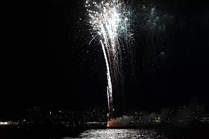 fireworks in the night sky