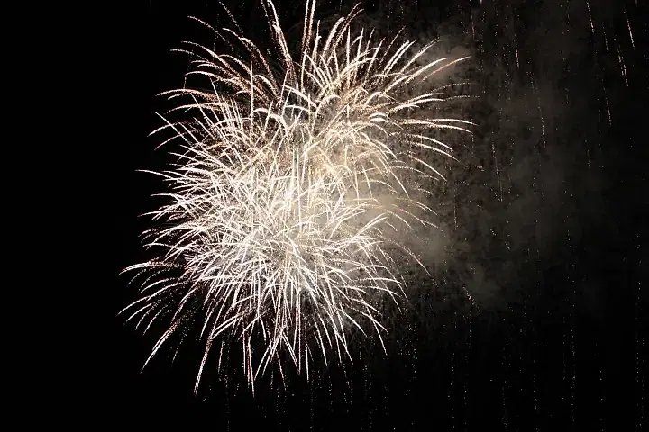 fireworks in the sky