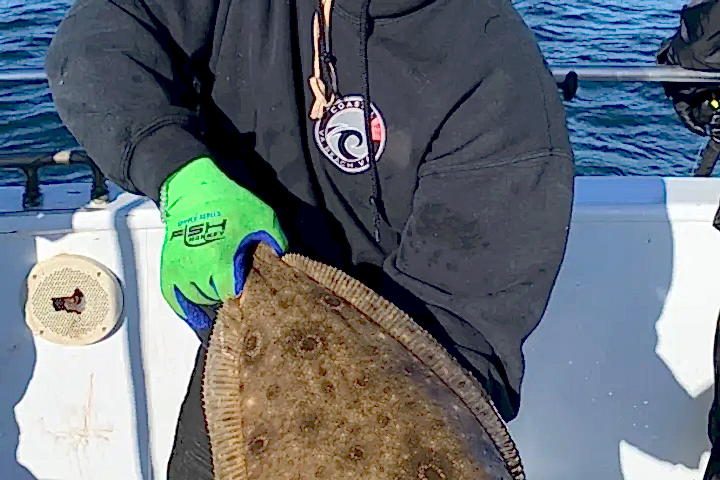 a person holding a fish on a boat in a body of water