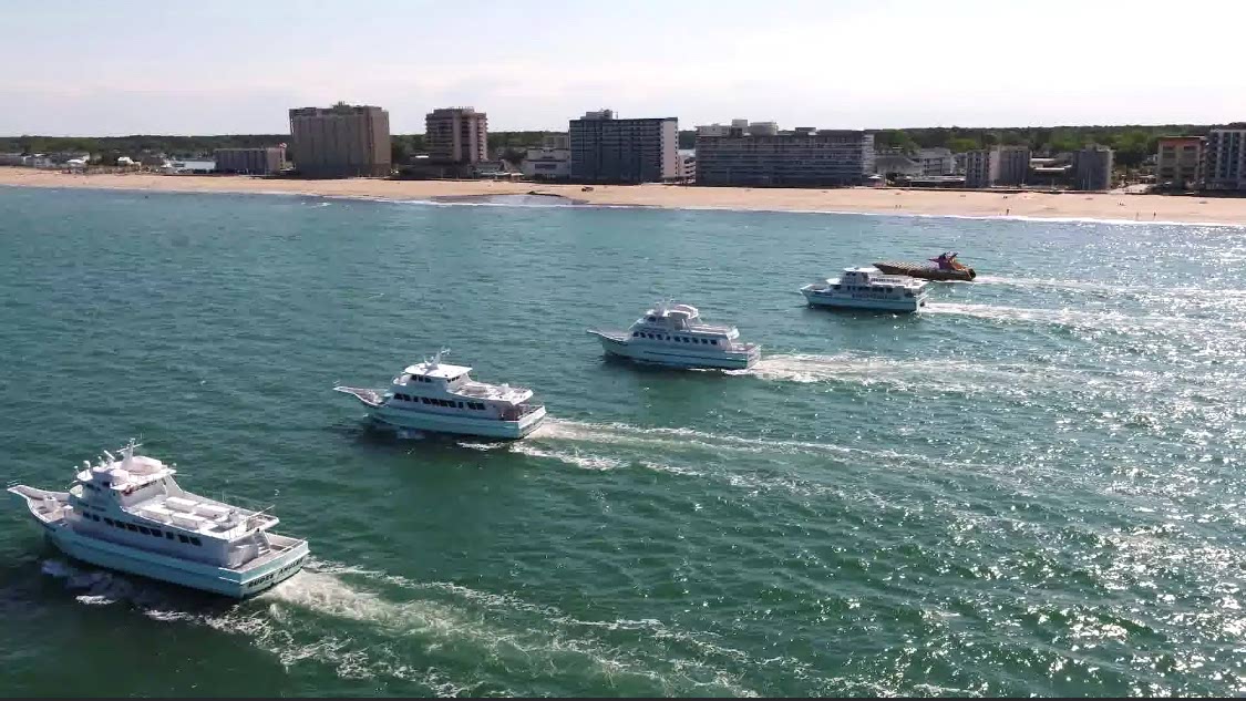 Rudee Tours fleet VB
