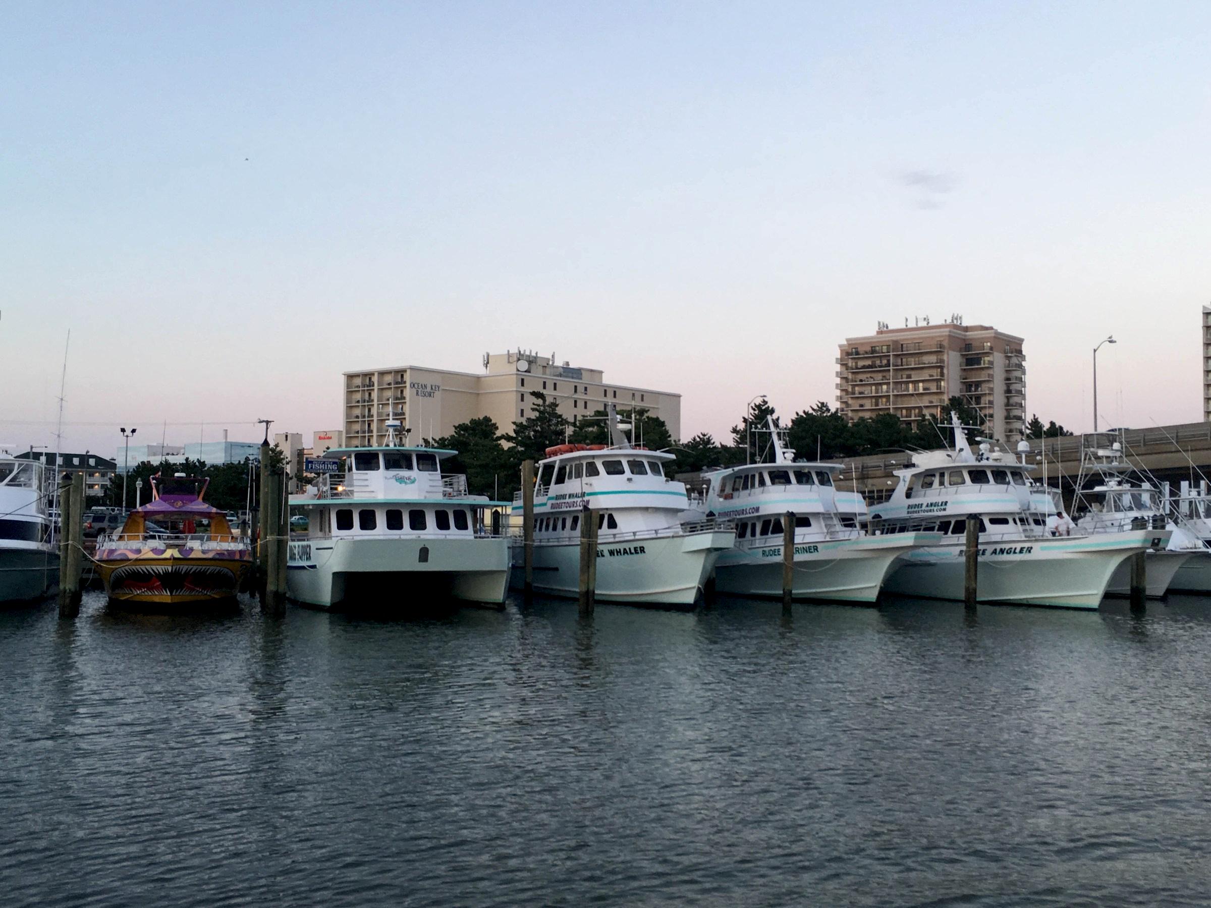 Rudee Tours fleet at the dock