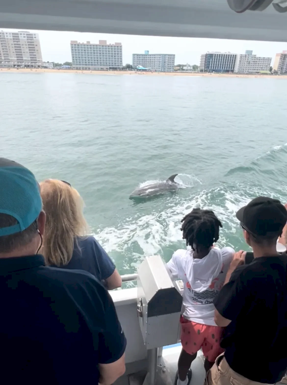 People on a boat watching a dolphin in the water off of Virginia Beach Oceanfront.